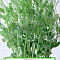 Микрозелень Горох овощной 10г цв Поиск