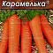 Морковь Карамелька  цв  Аэлита (лидер)