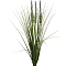 Вейник остроконечный  70см 8J-12RB0003 GARDA DECOR