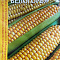 Кукуруза сахарная Лакомка Белогорья 5г Россельхозцентр