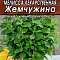 Мелисса лекарственная Жемчужина 0,1г цв Аэлита (лидер)