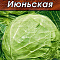 Капуста белокочанная Июньская 0,5г цв Аэлита (лидер)