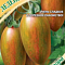 Томат Леденец коричневый 0,05г цв Гавриш