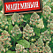 Резеда душистая Маше миньон цв Аэлита