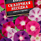 Ипомея Сказочная беседка смесь цв.Аэлита (лидер)