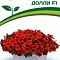 Петуния Долли F1 сер.Мими многоцв каскад 5шт в амп цв Партнер