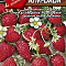 Земляника Александрина 0,05г цв Аэлита (лидер)