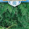 Укроп Русский гигант 2г цв Русский богатырь Гавриш