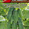 Огурец Герман F1 цв Аэлита