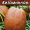 Тыква мускатная Витаминная ч/б Аэлита