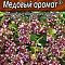 Душица обыкновенная Медовый аромат 0,05г цв Аэлита